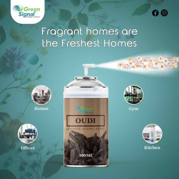 AEROSOL SPRAY - OUDY - Image 3